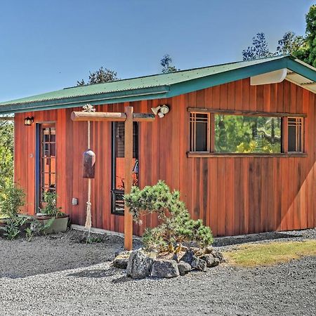 Cozy Volcano Studio With Phenomenal Rainforest Views Mountain View Exterior foto